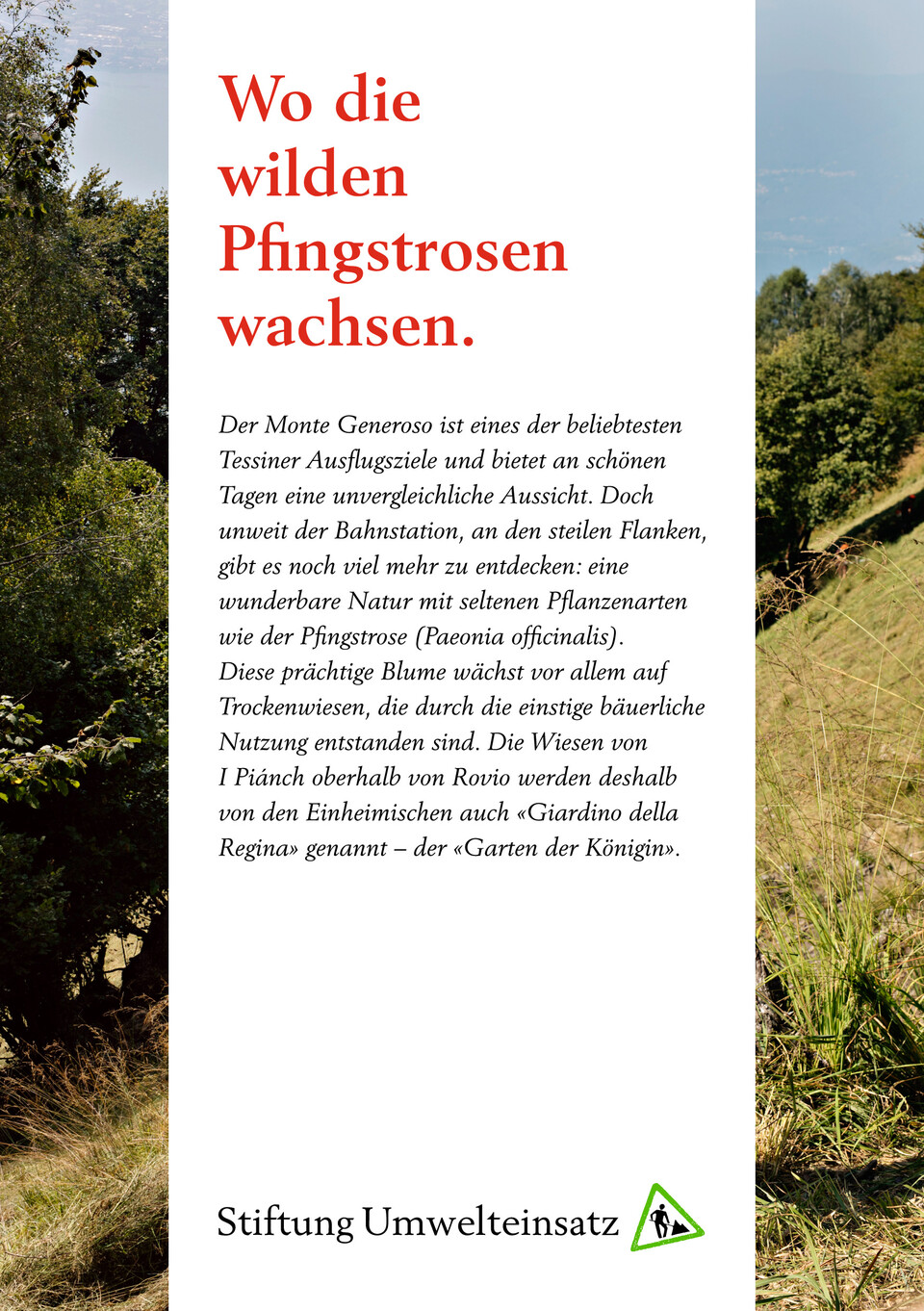 Mailingprogramm für die Stiftung Umwelteinsatz