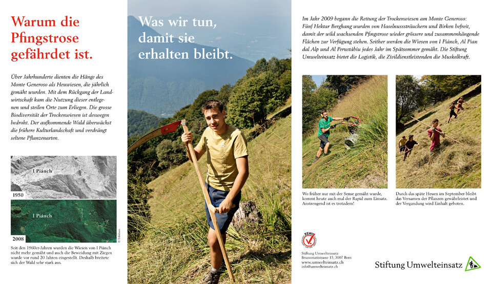 Mailingprogramm für die Stiftung Umwelteinsatz