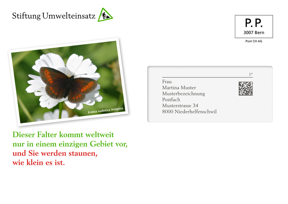 Mailingprogramm für die Stiftung Umwelteinsatz