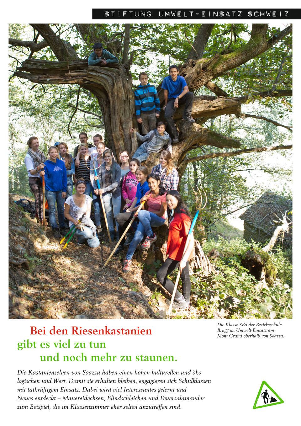 Mailingprogramm für die Stiftung Umwelteinsatz