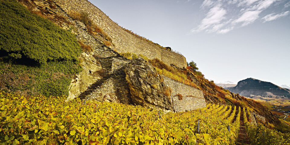 Mailingprogramm für die Stiftung Umwelteinsatz