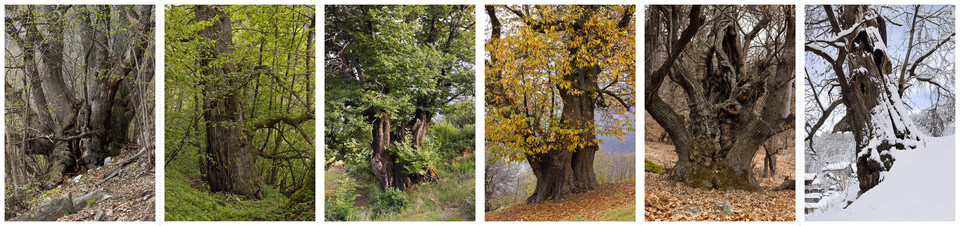 Give-away: Leporello Postkarten