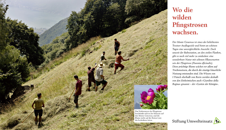 Mailingprogramm für die Stiftung Umwelteinsatz