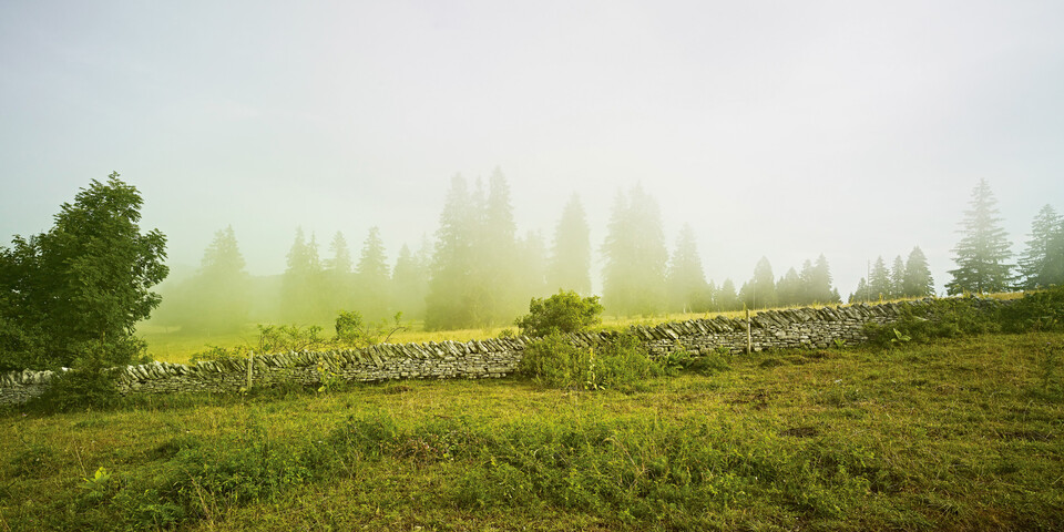 Mailingprogramm für die Stiftung Umwelteinsatz