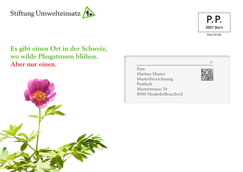 Mailingprogramm für die Stiftung Umwelteinsatz
